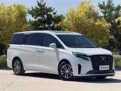 Buick GL8 ES Luxe Enjoyment Edition - ფოტო 3