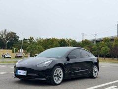 Tesla Model 3 2022 Rear-Wheel Drive - ფოტო 1