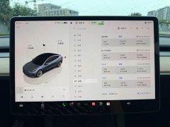 Tesla Model 3 2022 Rear-Wheel Drive - ფოტო 10