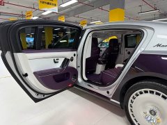 Geely Zun S800 Extended Range Starlight Executive Edition 4-Seater (192-line LiDAR) - ფოტო 11