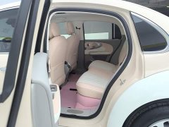 Ora Ballet Cat 2023 401km Deluxe - ფოტო 11
