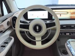 Ora Ballet Cat 2023 401km Deluxe - ფოტო 15