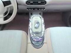 Ora Ballet Cat 2023 401km Deluxe - ფოტო 16