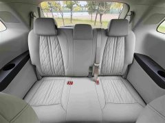 Buick GL8 2021 Land Business Class 652T Luxury - ფოტო 15