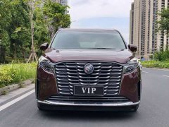 Buick GL8 ES Luxe Comfort - ფოტო 16