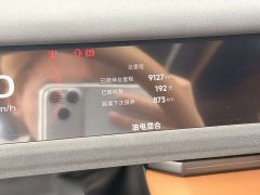 Haval iCAR V27 200KM AWD Falcon 500 - ფოტო 7