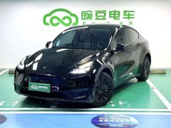 Tesla Model Y Long Range All-Wheel Drive - ფოტო 1