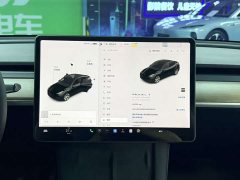 Tesla Model Y Long Range All-Wheel Drive - ფოტო 11