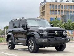 Tank 300 2021 City Edition 2.0T Stylish - ფოტო 6