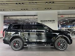 Tank 500 3.0T Black Warrior Limited Edition 5-Seater - ფოტო 4