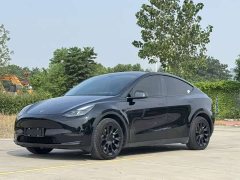 Tesla Model Y Long Range All-Wheel Drive - ფოტო 1