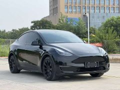 Tesla Model Y Long Range All-Wheel Drive - ფოტო 4