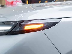 Li Auto L9 Max - ფოტო 8