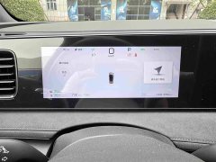 BYD Haima Lion Haima Sealion 06 DM-i 205 Pilot Pro - photo 4