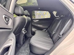 BYD Haima Lion Haima Sealion 06 DM-i 205 Pilot Pro - photo 7