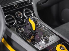 Bentley Continental Plug-in Hybrid GT Ultimate Edition - ფოტო 15