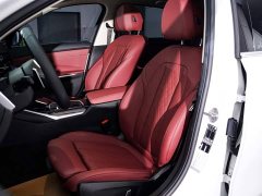 BMW 3 Series 325Li M Sport Package - ფოტო 18