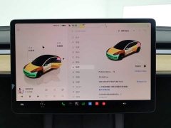 Tesla Model 3 2022 Rear-Wheel Drive - ფოტო 14