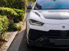 Lamborghini Urus 2022 4.0T V8 Performante - ფოტო 8