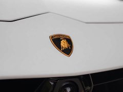 Lamborghini Urus 2022 4.0T V8 Performante - ფოტო 9