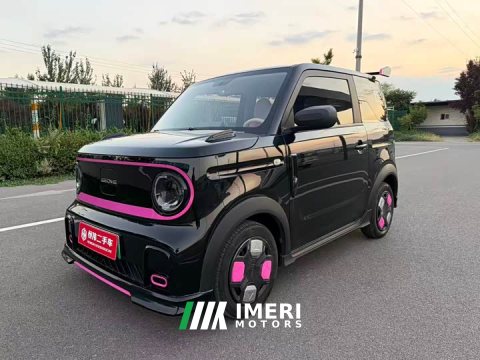 2024 Geely Panda 200km Panda Kart - ავტომობილი ჩინეთიდან
