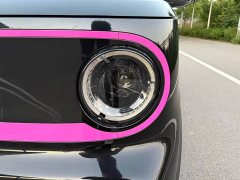 Geely Panda 200km Panda Kart - ფოტო 19