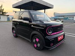 Geely Panda 200km Panda Kart - ფოტო 3