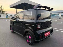 Geely Panda 200km Panda Kart - ფოტო 4