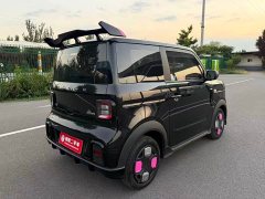 Geely Panda 200km Panda Kart - ფოტო 6