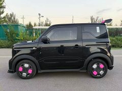 Geely Panda 200km Panda Kart - ფოტო 8
