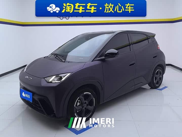 BYD Seagull Freedom Edition