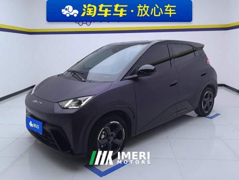 2024 BYD Seagull 2023 Freedom Edition - ავტომობილი ჩინეთიდან