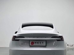 Tesla Model 3 2023 Rear-Wheel Drive - ფოტო 16