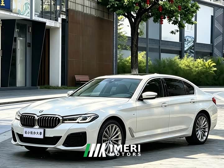 BMW 5 Series 530Li Luxury Edition Premium Package