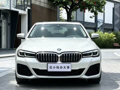 BMW 5 Series 530Li Luxury Edition Premium Package - ფოტო 2