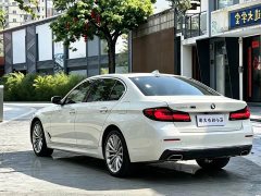 BMW 5 Series 530Li Luxury Edition Premium Package - ფოტო 9