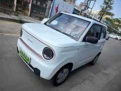 Geely Panda Mini 200km Endurance Edition - ფოტო 1