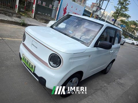 2023 Geely Panda Mini 200km Endurance Edition - ავტომობილი ჩინეთიდან