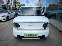 Geely Panda Mini 200km Endurance Edition - ფოტო 2