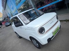 Geely Panda Mini 200km Endurance Edition - ფოტო 3