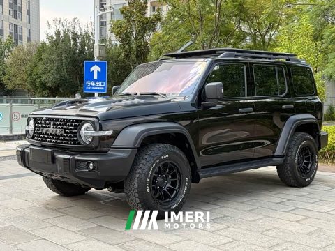 2022 Tank 300 2021 Off-Road Edition 2.0T Conqueror - ავტომობილი ჩინეთიდან