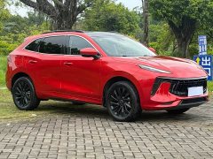Dongfeng Fenxing T5 EVO 2021 1.5T DCT Diamond Edition - ფოტო 3