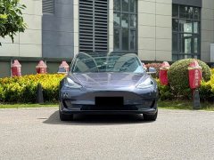 Tesla Model 3 2020 Facelift Standard Range RWD Upgrade - ფოტო 2