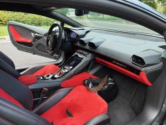 Lamborghini Huracán 2020 Huracán EVO RWD - ფოტო 9