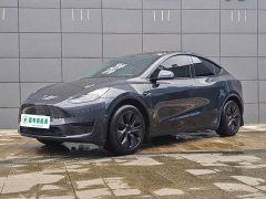 Tesla Model Y Rear-Wheel Drive - ფოტო 1