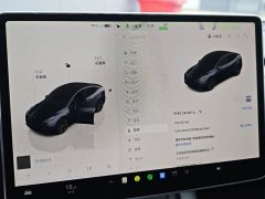 Tesla Model Y Rear-Wheel Drive - ფოტო 11
