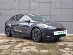 Tesla Model Y Rear-Wheel Drive - ფოტო 3