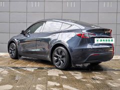 Tesla Model Y Rear-Wheel Drive - ფოტო 4