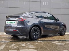 Tesla Model Y Rear-Wheel Drive - ფოტო 6