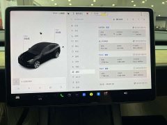 Tesla Model Y Rear-Wheel Drive - фото 18